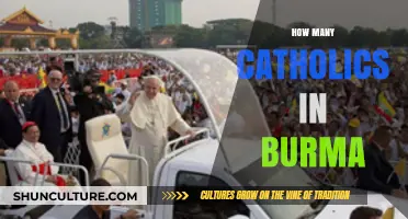 Exploring the Catholic Community in Burma: A Demographic Overview