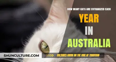 Australia's Cat Euthanasia Crisis: Annual Numbers and Solutions