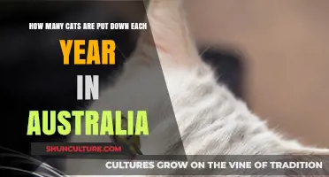 Understanding Australia's Annual Cat Euthanasia Rates: A Sobering Reality