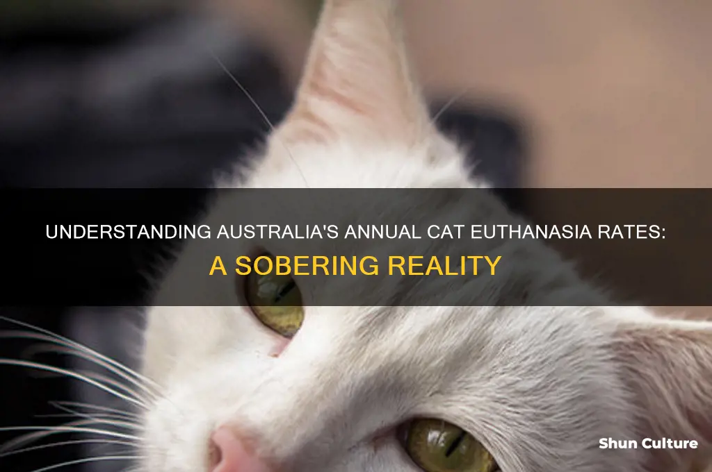 how many cats are put down each year in australia