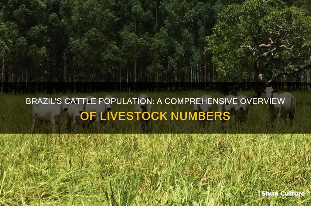 how many cattle are in brazil