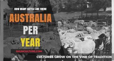 Australia's Cattle Population: Annual Growth and Industry Insights