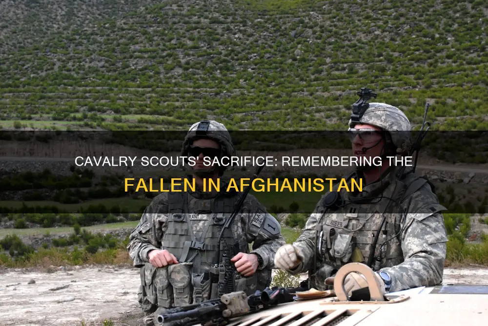 how many cavalry scouts have died in afghanistan