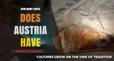 Austria's Underground: Exploring the Country's Many Caves