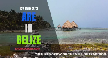 The Cayes of Belize: A Comprehensive Overview