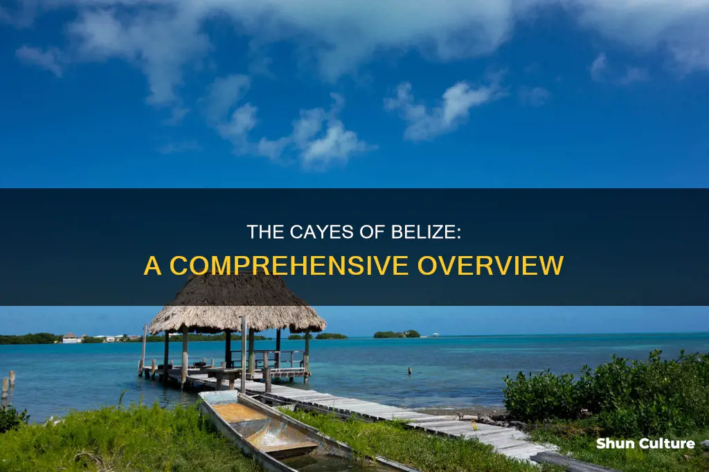 how many cayes are in belize