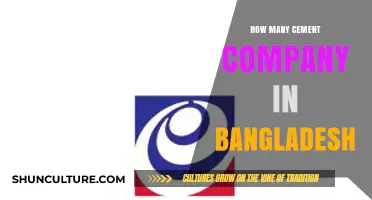 Exploring Bangladesh's Cement Industry: A Comprehensive Company Count Guide
