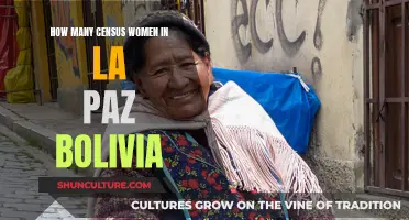 Women in La Paz, Bolivia: Census Insights