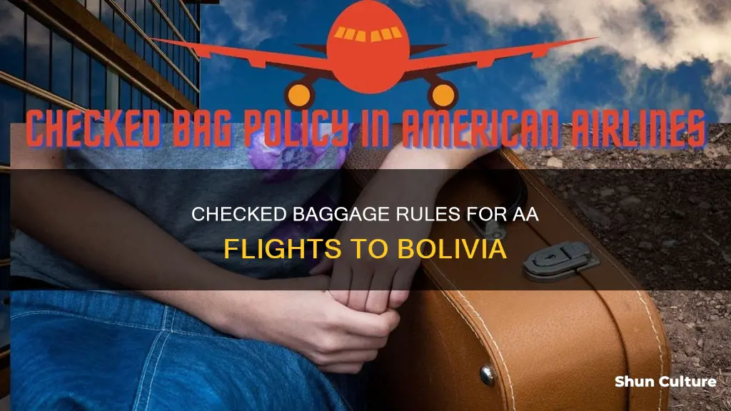 how many checked bags aa to bolivia