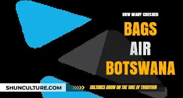 Air Botswana Checked Baggage Allowance: How Many Bags Can You Bring?