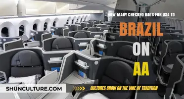 American Airlines Checked Baggage Allowance: USA to Brazil Flights