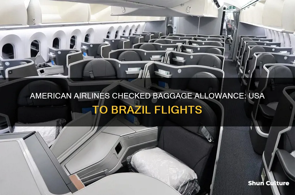 how many checked bags for usa to brazil on aa