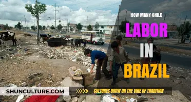Child Labor in Brazil: Uncovering the Hidden Numbers and Realities