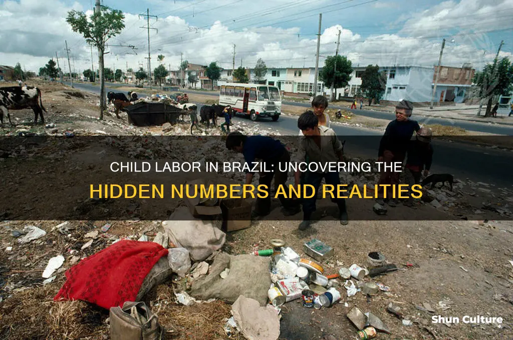 how many child labor in brazil