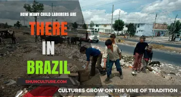 Child Labor in Brazil: Uncovering the Shocking Numbers and Realities