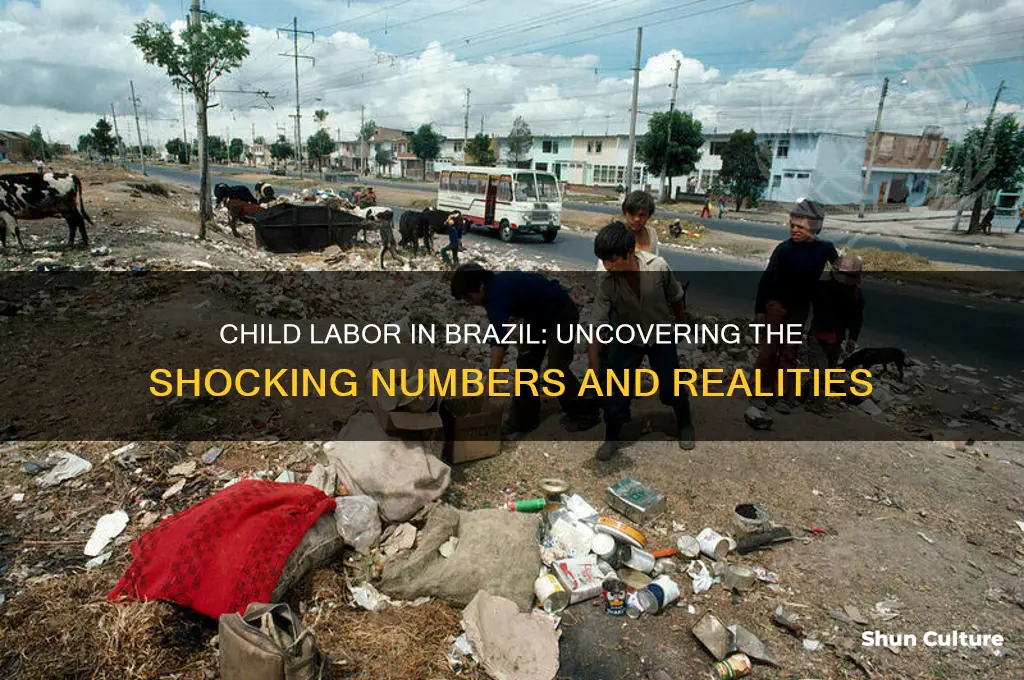 how many child laborers are there in brazil