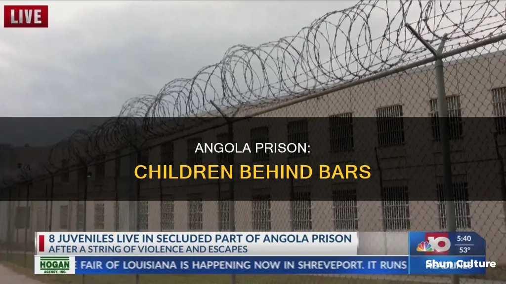 how many children are in angola prison