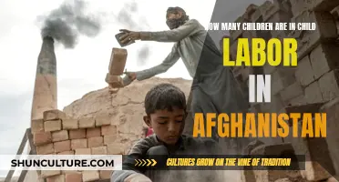 The Dark Reality of Child Labor in Afghanistan