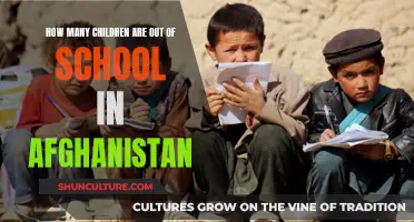 Afghanistan's Lost Generation: The Plight of Out-of-School Children