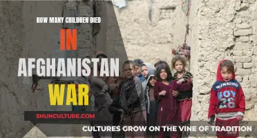 A Heartbreaking Toll: Child Casualties in the Afghanistan War