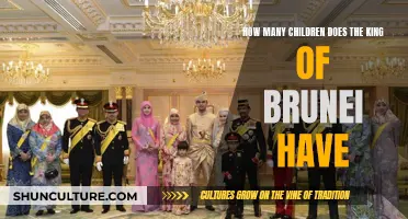 The King of Brunei's Large Royal Family