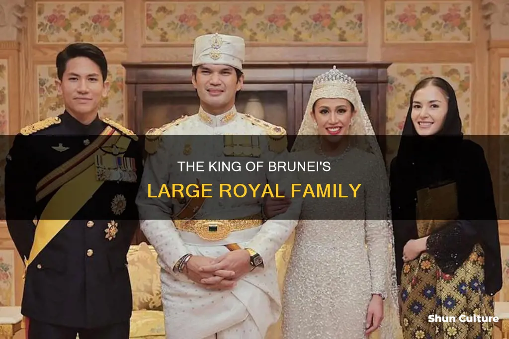 how many children does the king of brunei have