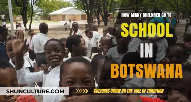 Botswana's Education Landscape: Exploring School Attendance Among Children