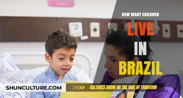 Exploring Brazil's Youth: How Many Children Call It Home?