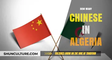 Exploring the Chinese Community Presence in Algeria: Numbers and Insights