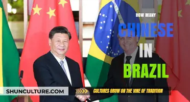 Exploring the Growing Chinese Community in Brazil: Population Insights