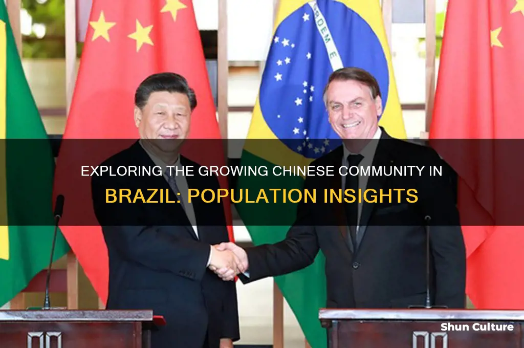 how many chinese in brazil