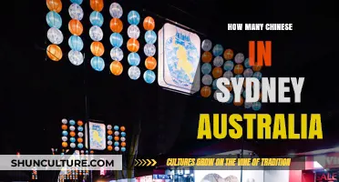 Exploring Sydney's Chinese Community: Population Insights and Cultural Impact
