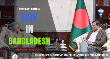Exploring the Chinese Community Presence in Bangladesh: Population Insights