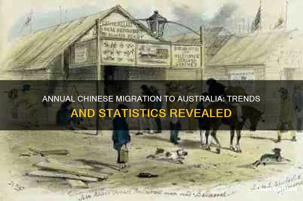 how many chinese migrate to australia per year