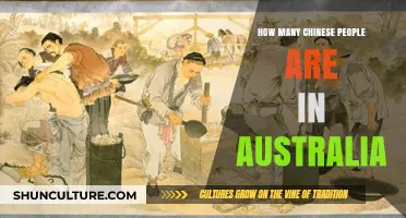Chinese Population in Australia: How Many?