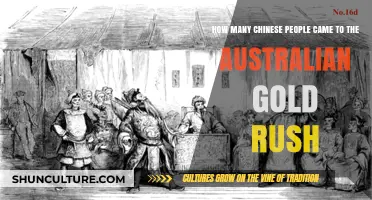 Chinese Migration to the Australian Gold Rush