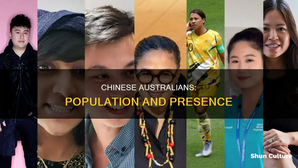 how many chinese population in australia