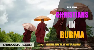 Exploring the Christian Population in Burma: A Demographic Insight