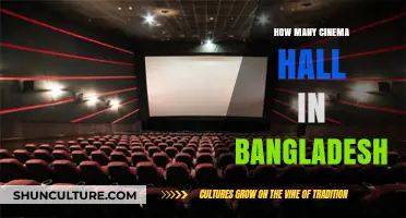 Exploring Bangladesh's Cinema Scene: Counting the Number of Movie Theaters