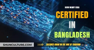 CISA Certification in Bangladesh: Current Numbers and Growing Trends