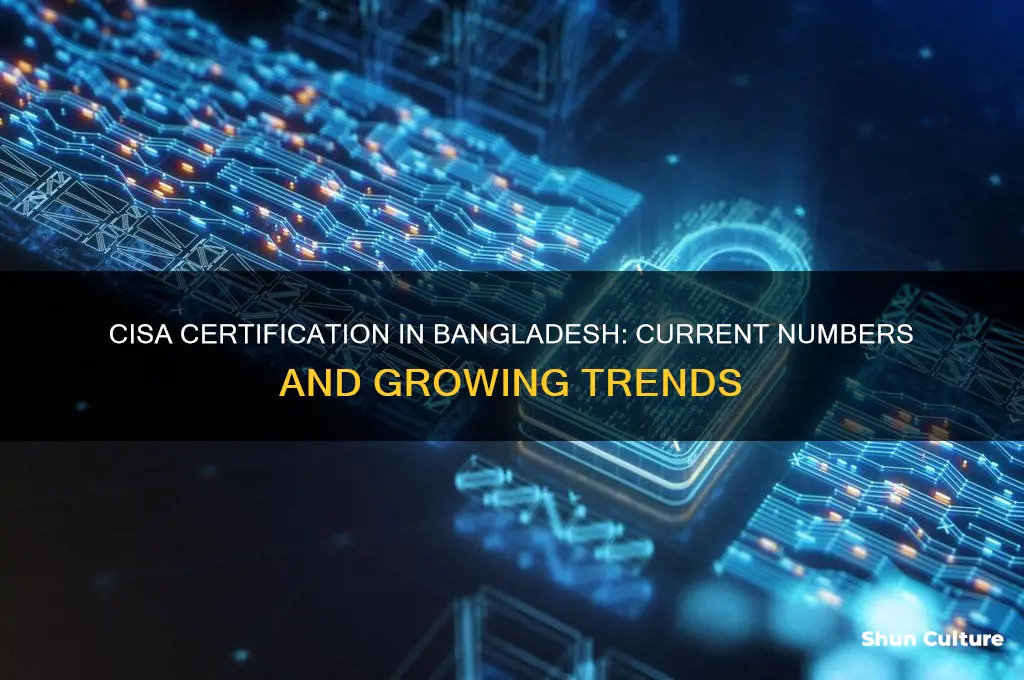 how many cisa certified in bangladesh
