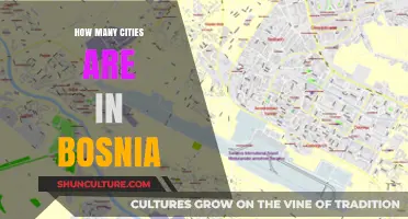 Exploring Bosnia's Urban Landscape: Counting the Cities Within