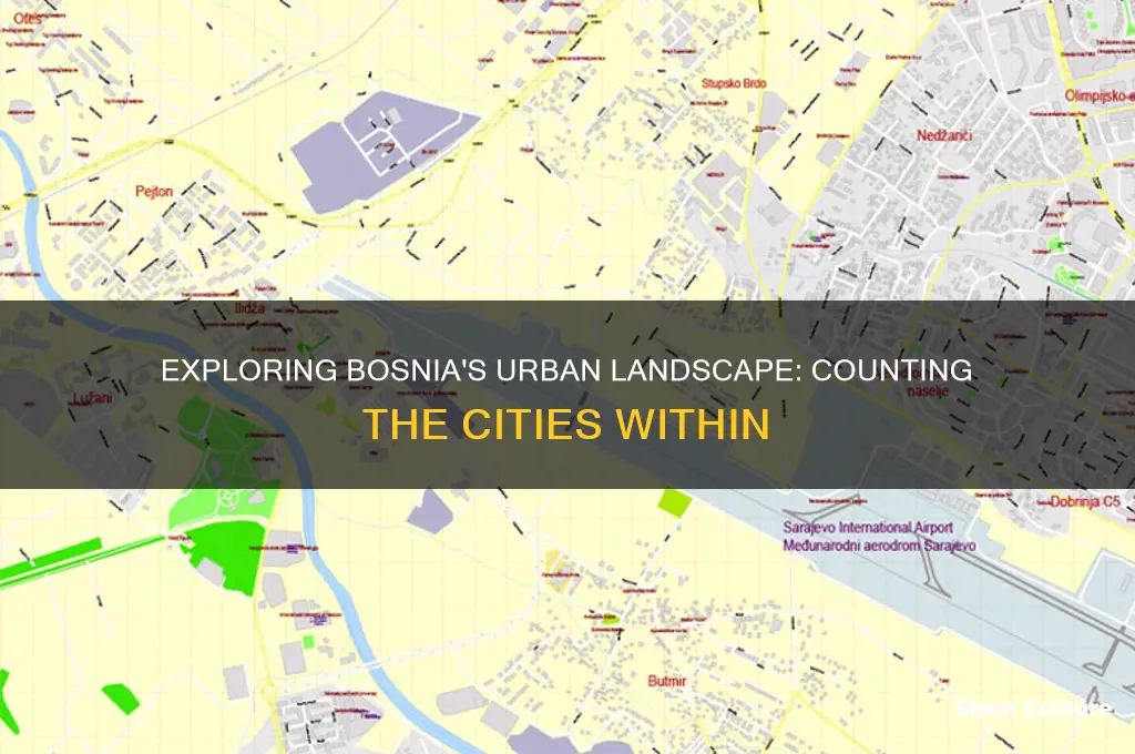 how many cities are in bosnia