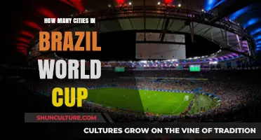 Exploring Brazil's World Cup Host Cities: A Comprehensive Guide