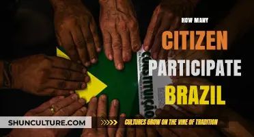 Brazil's Civic Engagement: Understanding Citizen Participation Levels and Trends