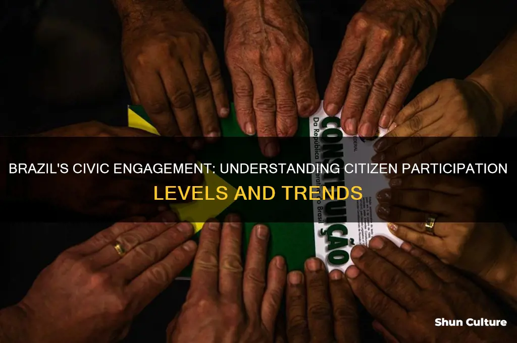 how many citizen participate brazil