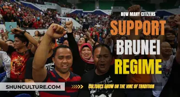 Brunei Regime: Gauging Citizen Support and Loyalties