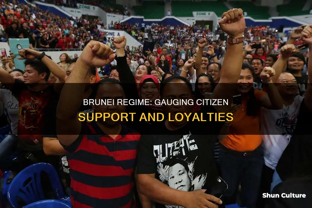 how many citizens support brunei regime