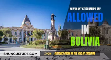 Exploring Bolivia's Unique Multiple Citizenship Law