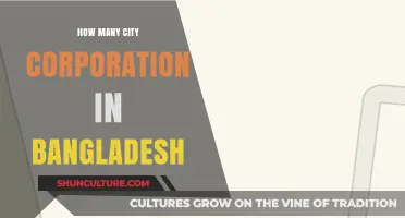 Exploring Bangladesh's City Corporations: A Comprehensive Count and Overview